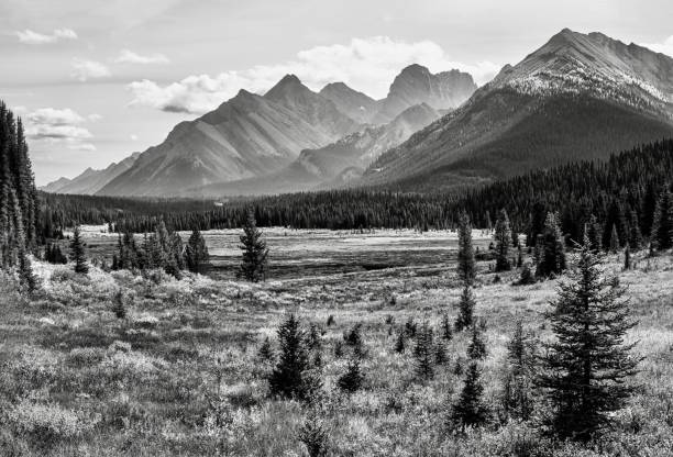 Spray Valley Provincial Park - Kananaskis Country, Alberta