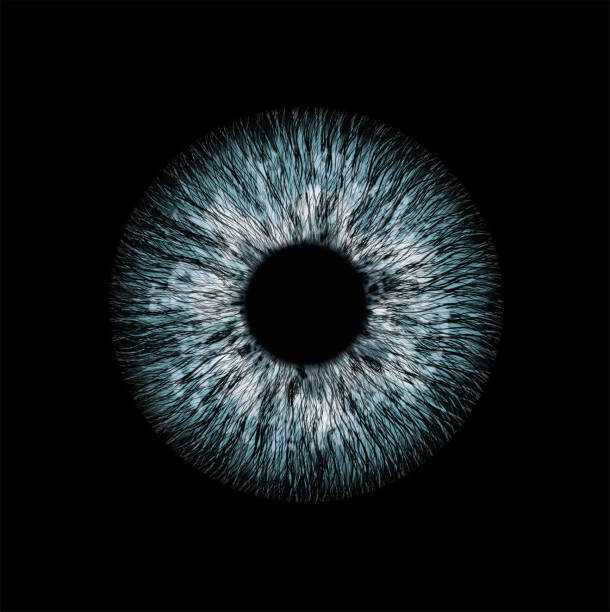 human eye graphic illustration of an human eye on black background iris eye stock illustrations