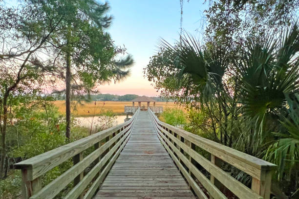 istock Marsh View from Freedom Park-Hilton Head,South Carolina 1368823817