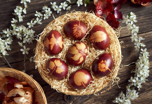 istock Easter eggs dyed with onion skins in a basket with spring blossoms 1368825670