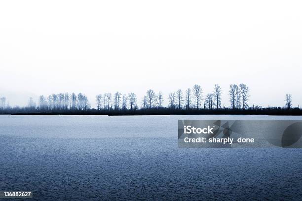 Wiosenna Powódź - zdjęcia stockowe i więcej obrazów Bez ludzi - Bez ludzi, Bezlistne drzewo, Biały