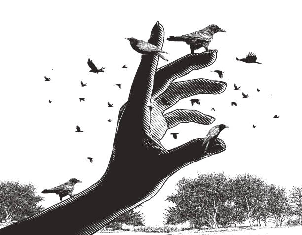 Crows perching on a hand Vector illustration of Crows perching on a large hand animals feeding stock illustrations