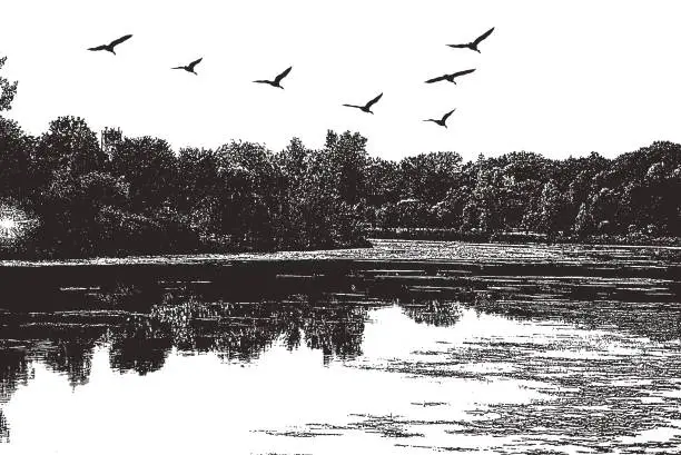 Vector illustration of Lake with geese flying in V-Formation