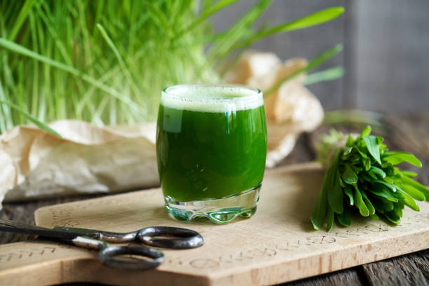 стакан сока молодой зеленой ячменной травы - barley grass juice green стоковые фото и изображения