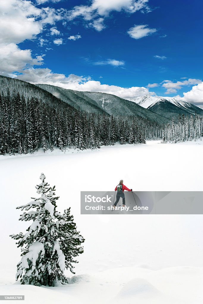 XXL inverno wilderness adventure - Foto stock royalty-free di Sci - Attrezzatura sportiva