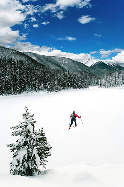 istock XXL winter wilderness adventure 136882789