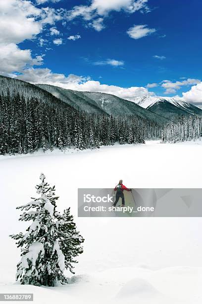 Xxl Inverno Selva Aventura - Fotografias de stock e mais imagens de Esqui - Equipamento Desportivo - Esqui - Equipamento Desportivo, Clima polar, Esqui - Esqui e snowboard