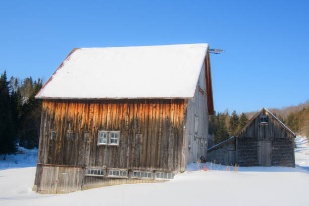 istock Old barn in a winter countryside landscape 1368828209