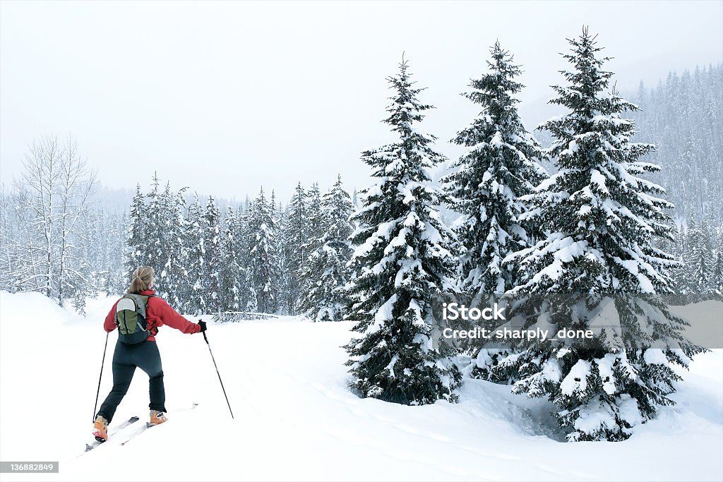 Frau Skifahren abseits der Piste - Lizenzfrei Alaska - US-Bundesstaat Stock-Foto