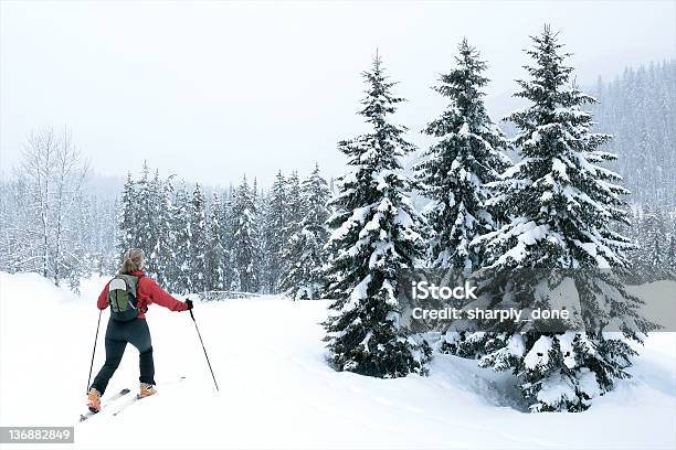 Frau Skifahren Abseits Der Piste Stockfoto und mehr Bilder von Alaska - US-Bundesstaat - Alaska - US-Bundesstaat, Skifahren, Urlaub