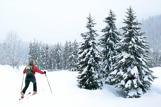 mujer esquí de fuera de pista - back country skiing fotos fotografías e imágenes de stock