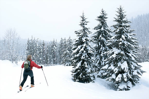 woman back country skiing in forest clearing during winter blizzard