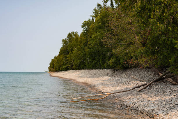 istock Lake water and forest scene with rocks 1368829006