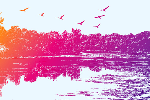 Vector illustration of tranquil Lake with geese flying in V-Formation