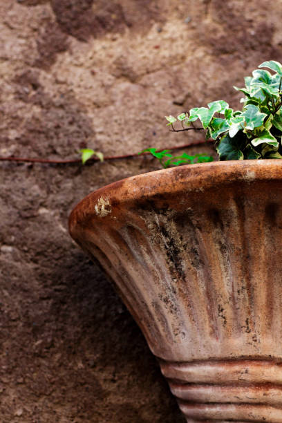 istock Antique clay wall plant pot 1368833890