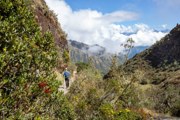 istock Hiking Through the Cloud Forest on the Inca Trail 1368835098