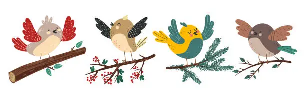 Vector illustration of Birds characters sitting on branches isolated set. Vector flat graphic design illustration
