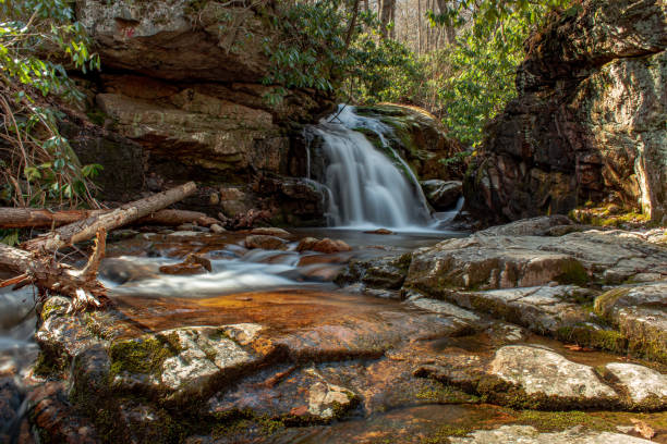 istock Scenic Tennessee waterfall in spring 1368836172