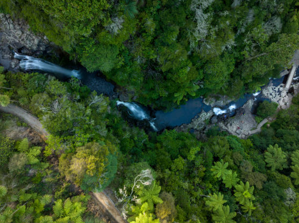 kaiate falls widok z góry znajduje się w bay of plenty, nowa zelandia, - tauranga zdjęcia i obrazy z banku zdjęć