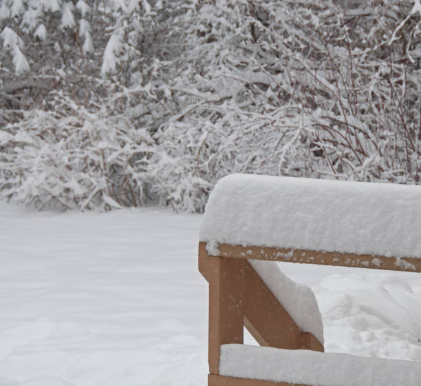 istock The Snow Piles Up 1368839191