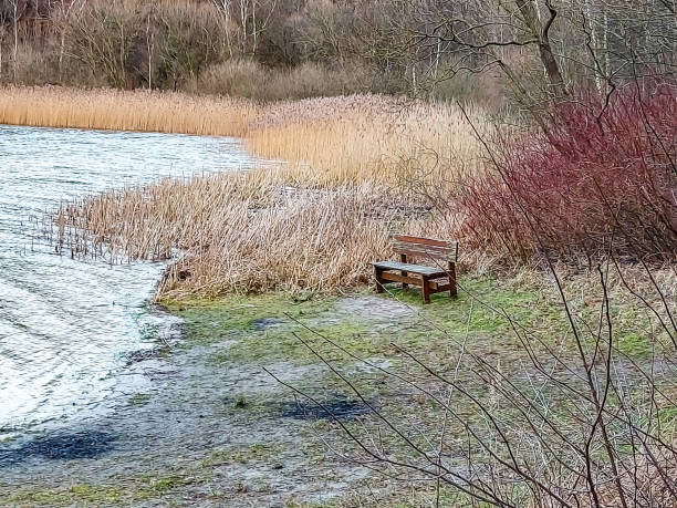 istock A bench stands on the shore of a lake 1368840963