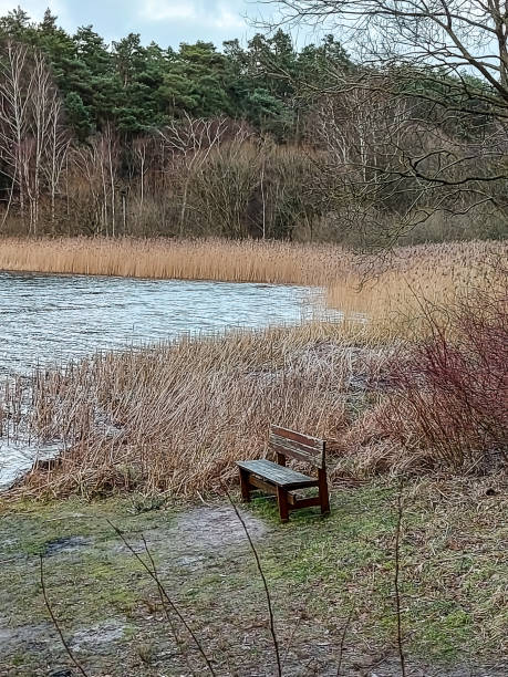 istock A bench stands on the shore of a lake 1368840966