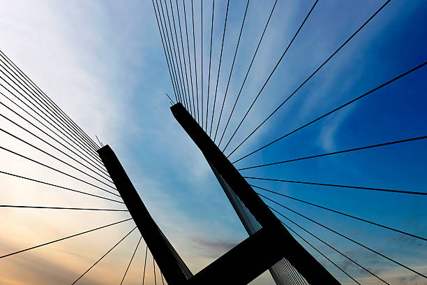 ggg ponte suspensa silhueta - ponte estaiada - fotografias e filmes do acervo