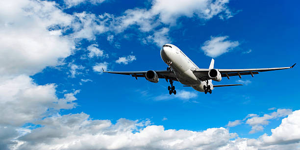 istock jet airplane landing in bright sky 136884112