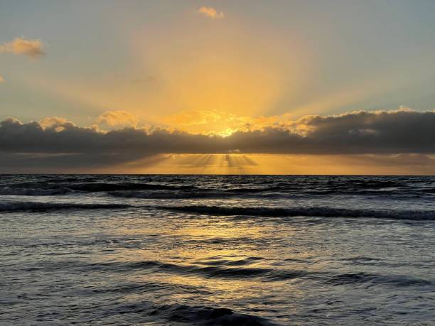 istock Standing on the beach watching the sunset 1368841335