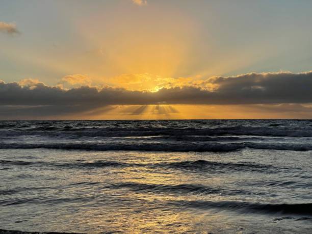 istock Standing on the beach watching the sunset 1368841338