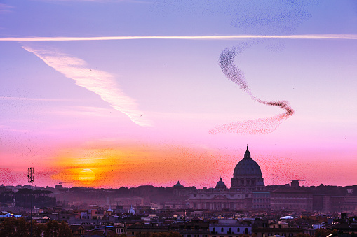 Red sunset over the Vatican, Rome