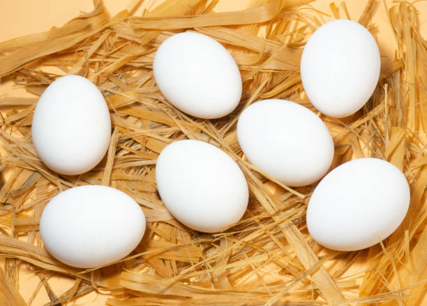 istock Seven eggs are in the straw. Lots of eggs. Chicken eggs 1368845429