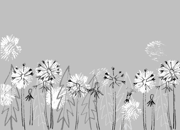 ภาพประกอบสต็อกที่เกี่ยวกับ “พื้นหลังลายดอกไม้ที่มีตําแหน่งสําหรับข้อความของคุณ ดอกไม้ดอกแดนดิไลอันวาดด้วยมือบนสีเท - ขาวดำ ภาพไล่โทนสี ภาพประกอบ”