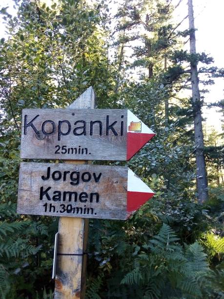 istock Directional sign in national park 1368852338