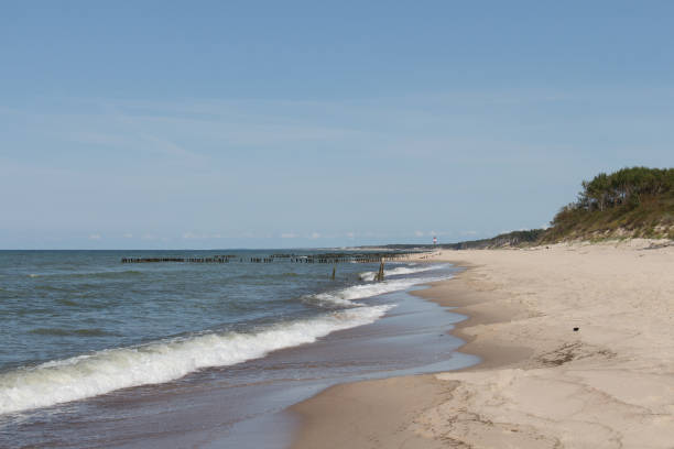 istock Curonian Spit in summer time, Kaliningrad Oblast, Russia. 1368860436
