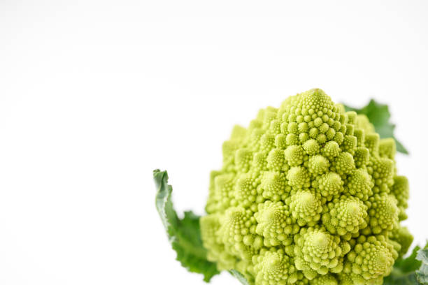 istock Romanesco cauliflower on white background 1368862310