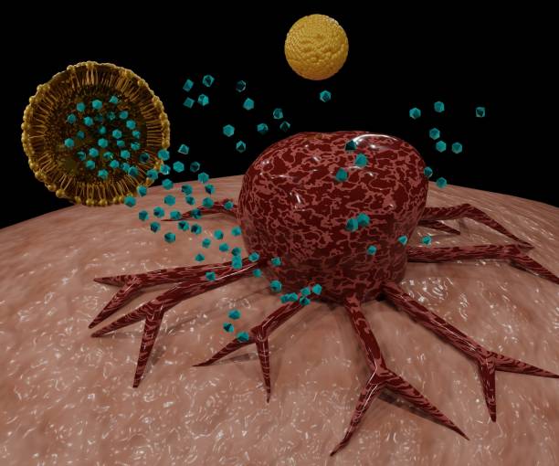 Nanomedicine inside of liposomes encapsulation cancer cell targeting nanodrug or nanomedicine delivery system with liposomes encapsulation cancer cell targeting 3d rendered nanoparticle stock pictures, royalty-free photos & images