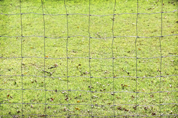 istock Steel mesh fence with square patterns on blurred green glass background 1368867401