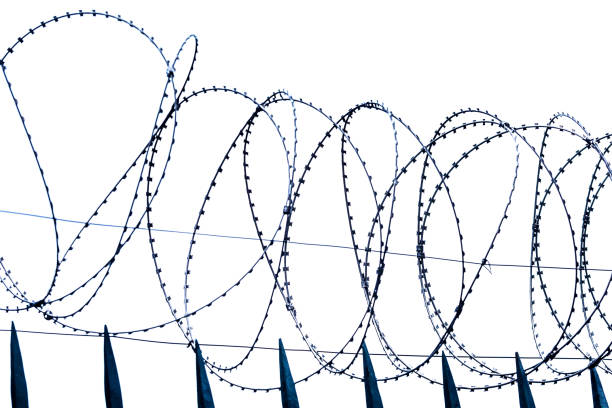 istock Barbed wire border. Metal barbed wire on grey sky background. 1368868921
