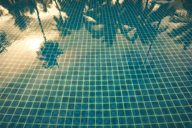 istock Reflection of sun and palm trees over swimming pool 1368873878