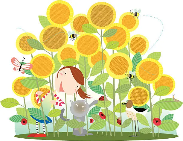 Vector illustration of sunflower summer