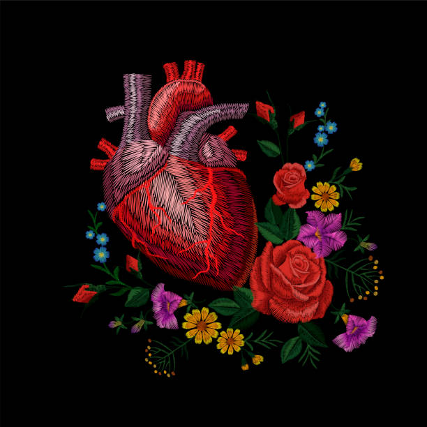 Embroidery crewel human anatomical heart medicine organ flower rose blooming. Red stitch embroidered design texture detailed patch. Fashion decoration template vector illustration Embroidery crewel human anatomical heart medicine organ flower rose blooming. Red stitch embroidered design texture detailed patch. Fashion decoration template vector illustration art needlecraft product stock illustrations