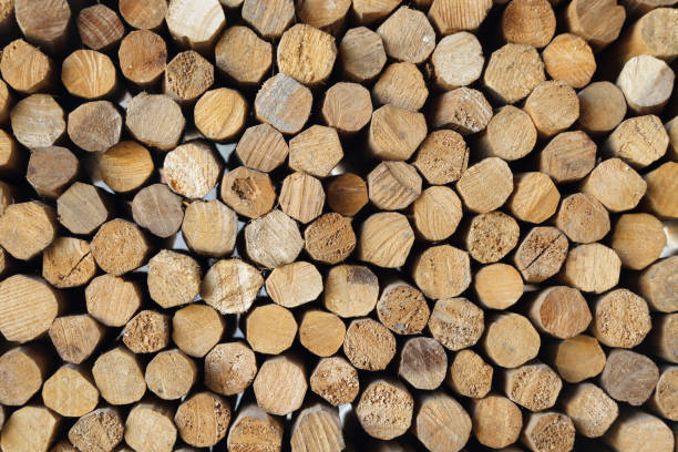 istock texture of wood log pile background 1368883605
