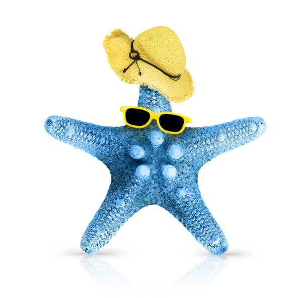 Starfish Wearing Sunglasses and a Hat Isolated on White Background