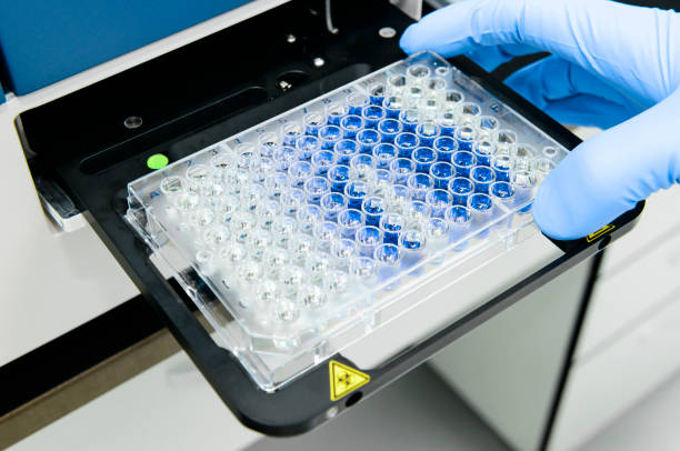 istock Scientist is putting 96 well micro plate into plate reader instrument 1368888254