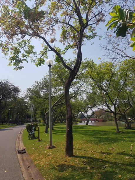 istock View of a park in Bangkok 1368890340