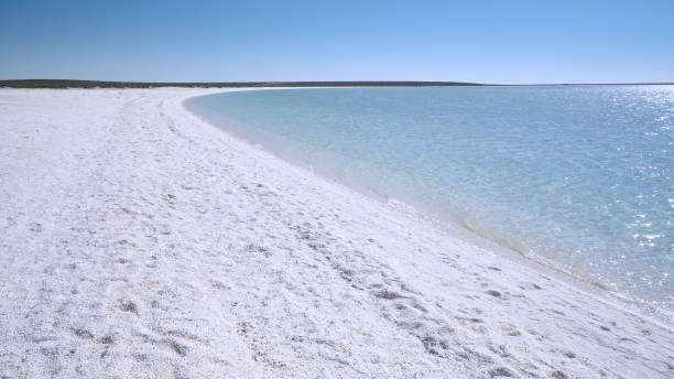 istock autumn afternoon view of shell beach at shark bay 1368894484