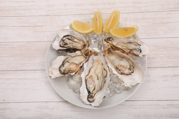 istock Raw oysters and lemon on a plate 1368896618