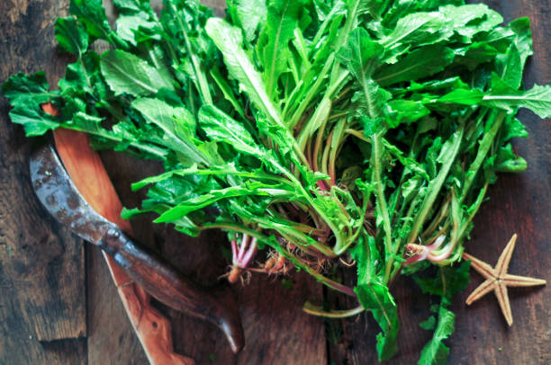 istock Raw Organic Dandelion Greens 1368899366