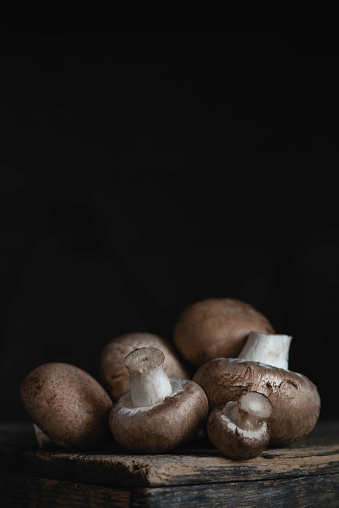 Fresh mushrooms on a dark rustic background